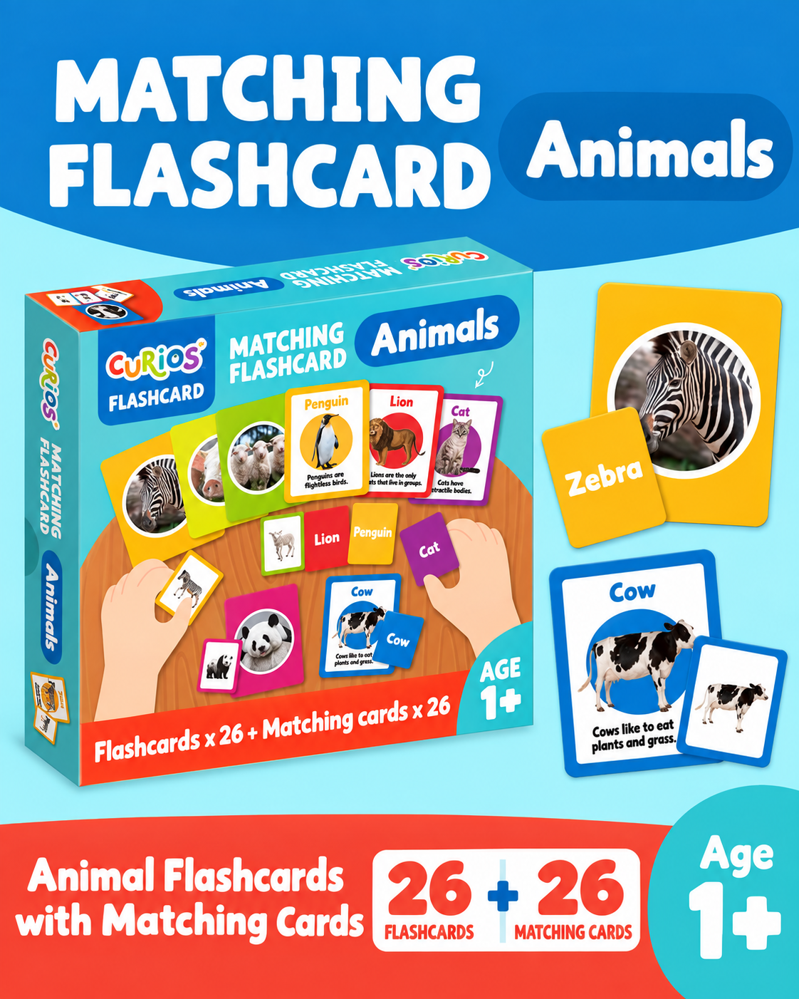 Books | Curios - English Flashcards - Animals