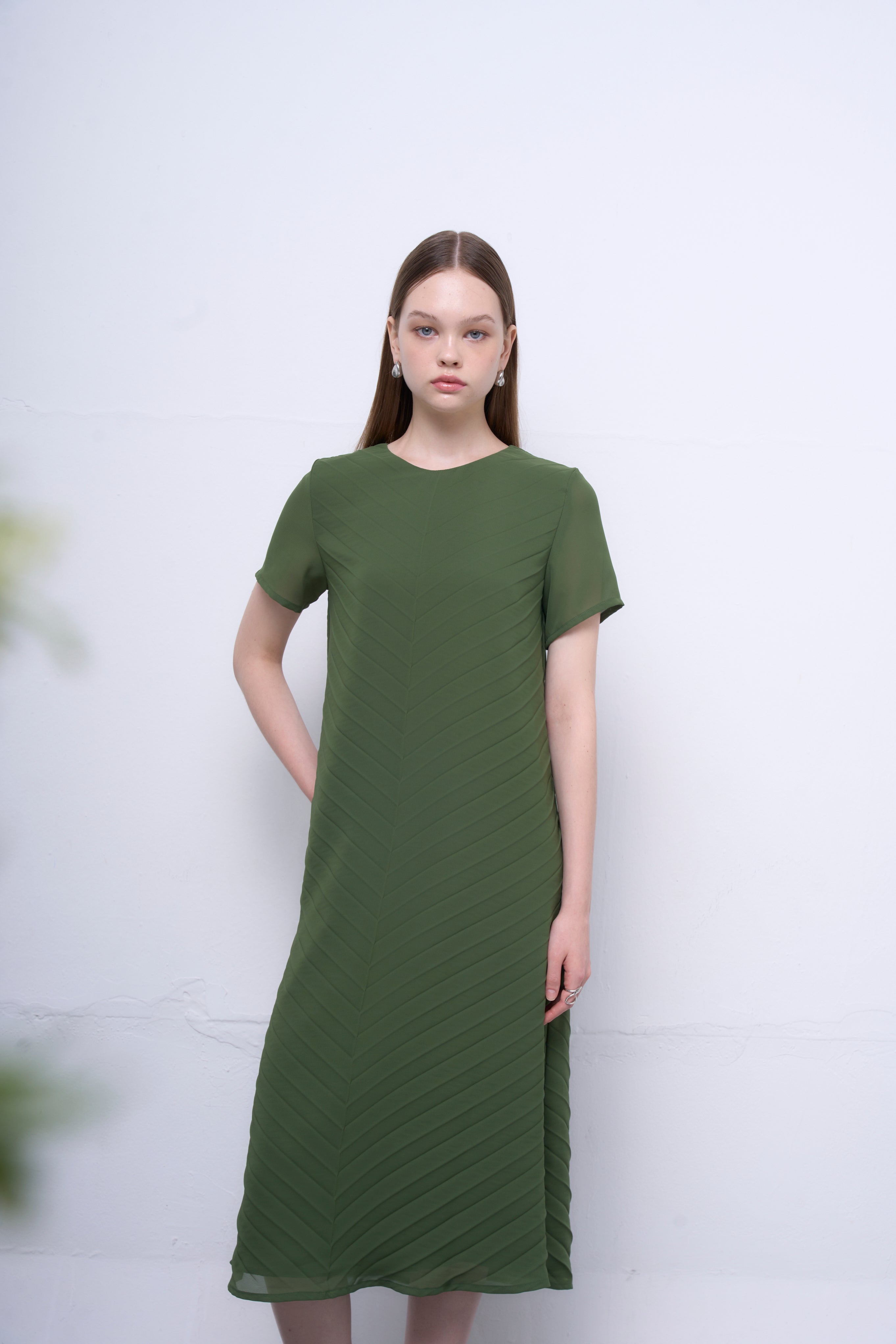 The Parrot | Liora Green Chiffon Pleated Sleeved Dress