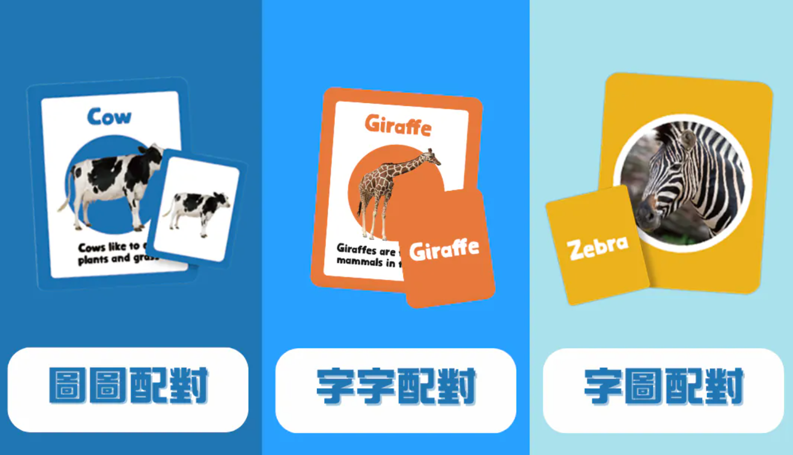 Books | Curios - English Flashcards - Animals