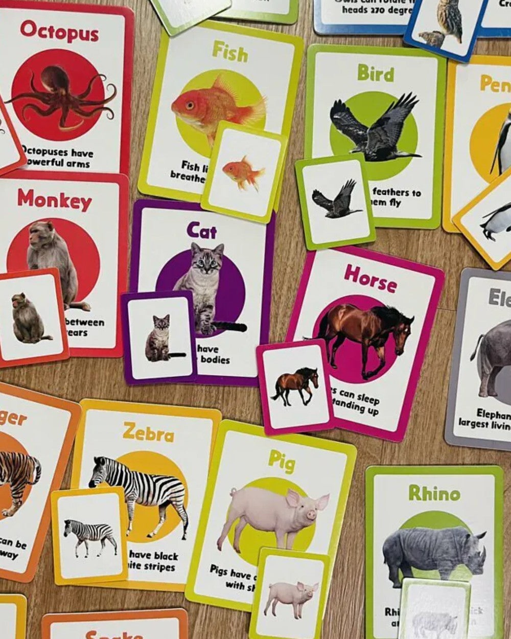 Books | Curios - English Flashcards - Animals