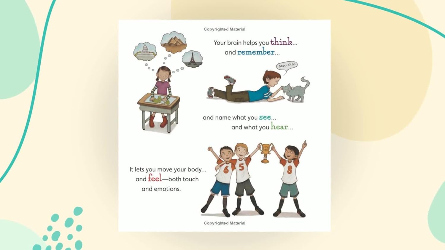 Books | Your Fantastic Elastic Brain