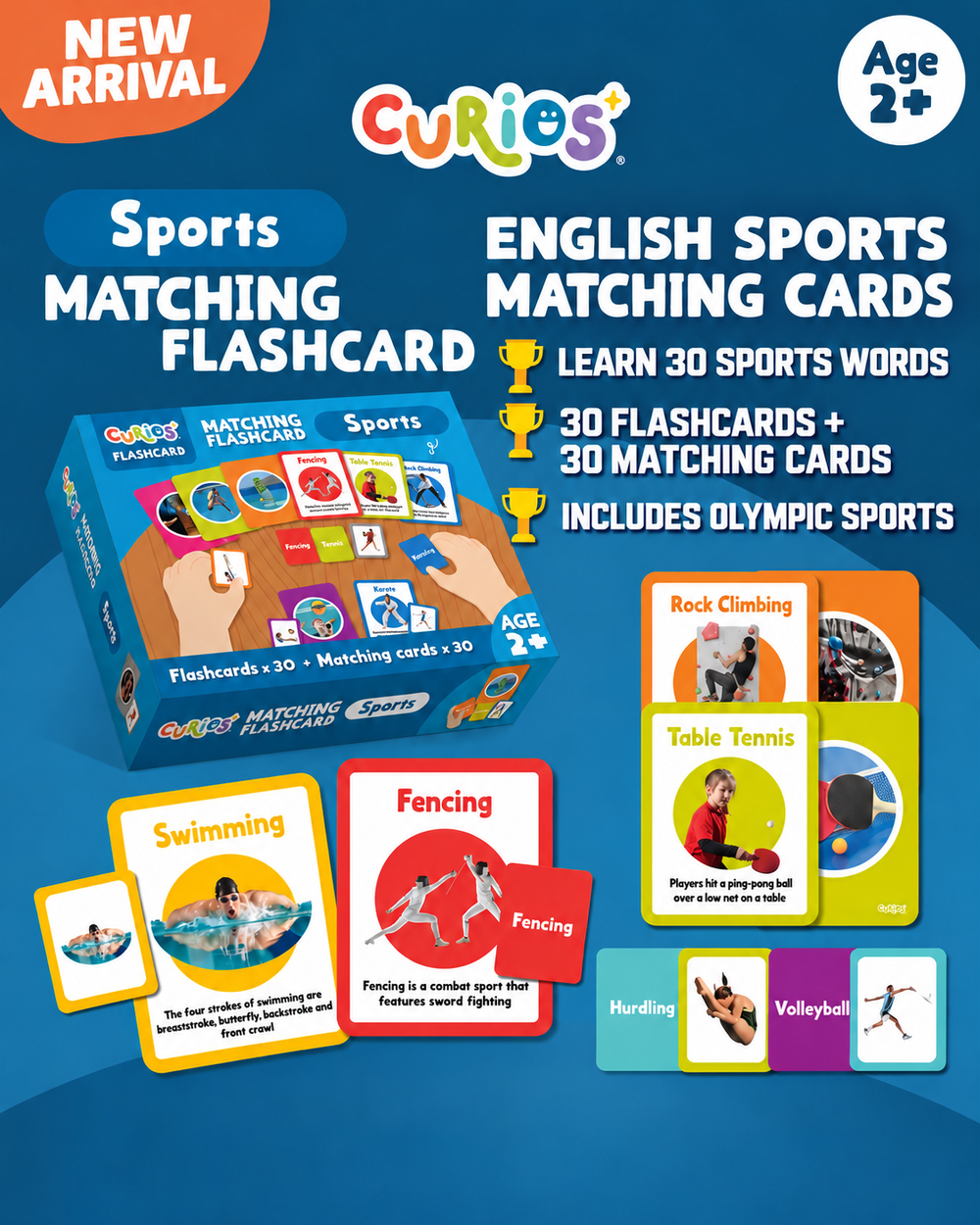 Books | Curios - English Flashcards - Sports