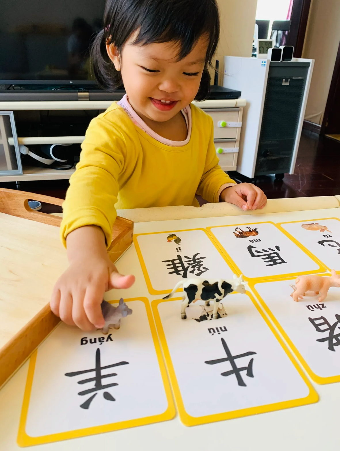 Child learning Chinese animal words with flashcards and animal figurines