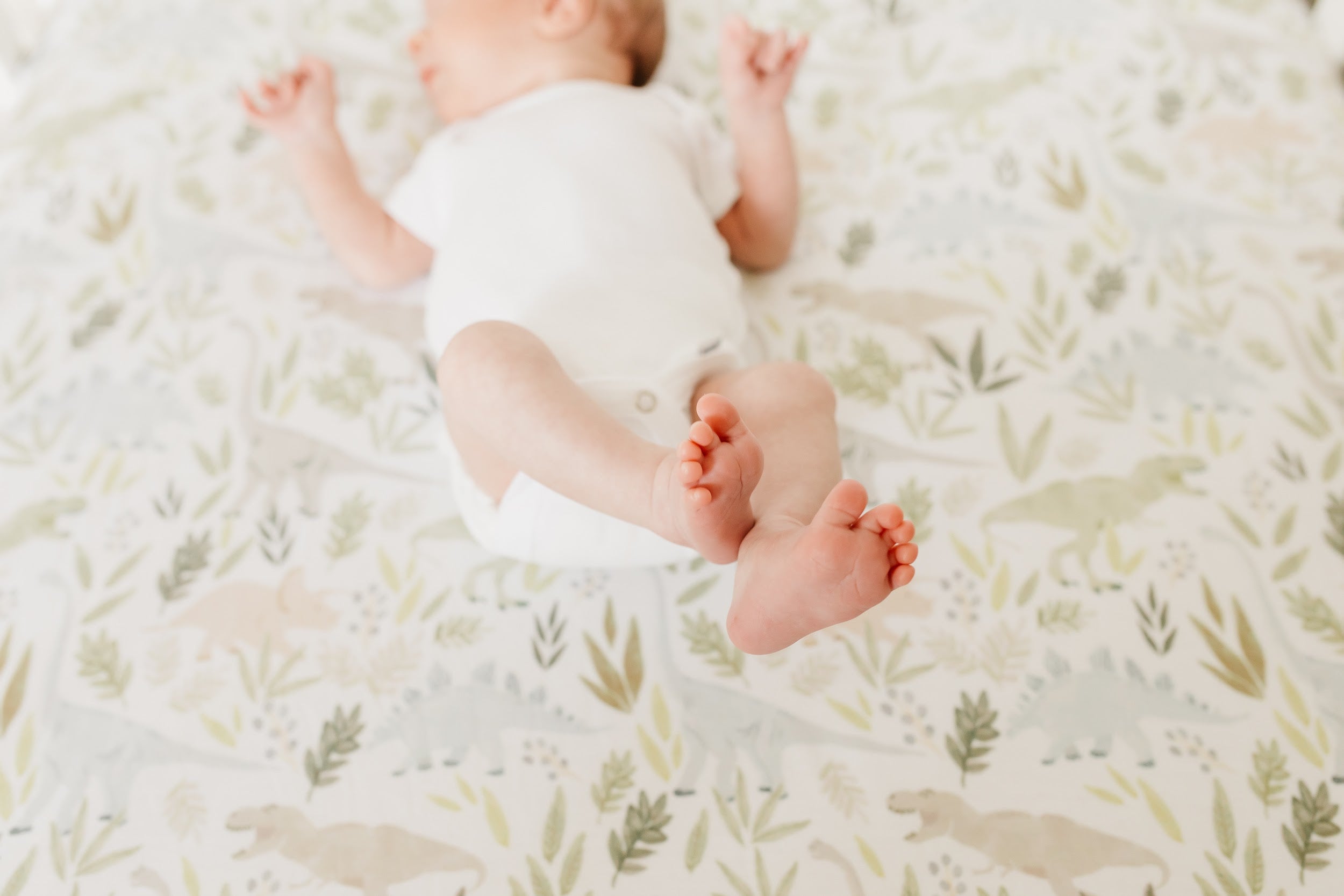 Copper Pearl | Crib Sheets - Rex