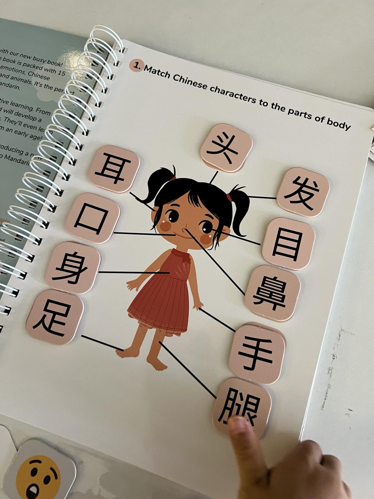 Books | Mandarin Prodigies: My First Mandarin Busy Book