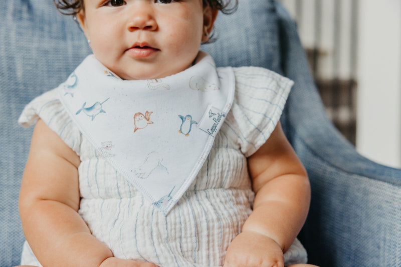 Copper Pearl | Bibs - Arctic Wonder