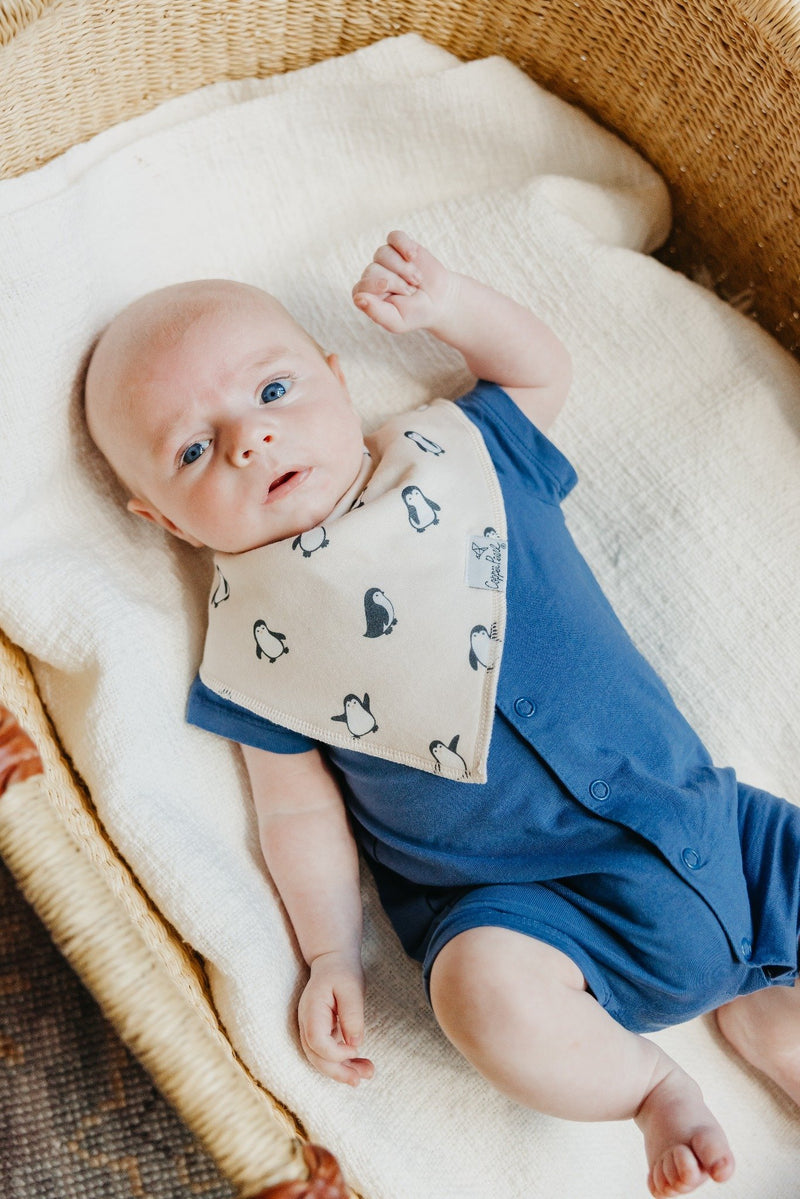 Copper Pearl | Bibs - Arctic Wonder