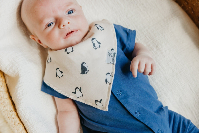 Copper Pearl | Bibs - Arctic Wonder