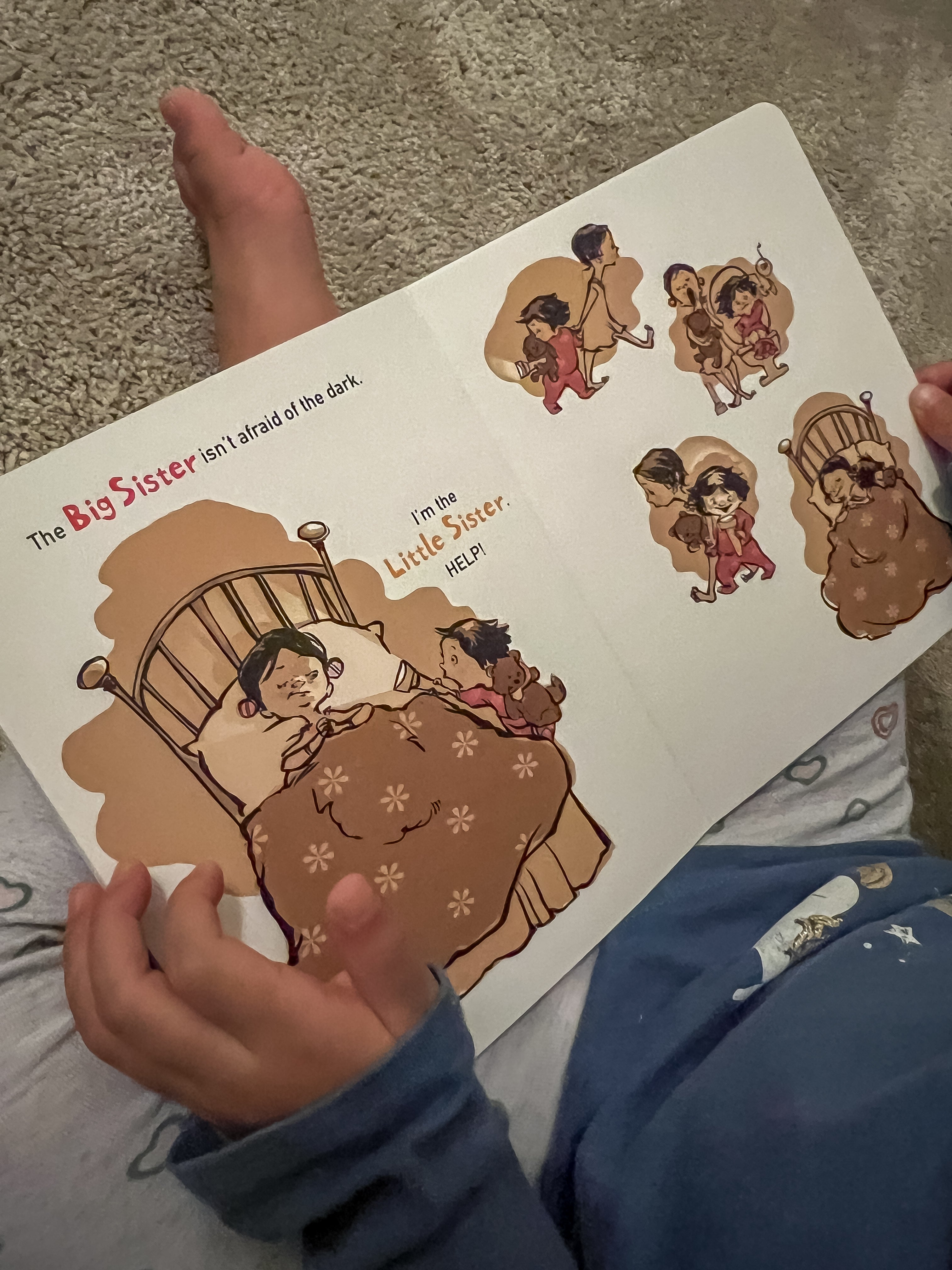 Books |  Big Sister, Little Sister