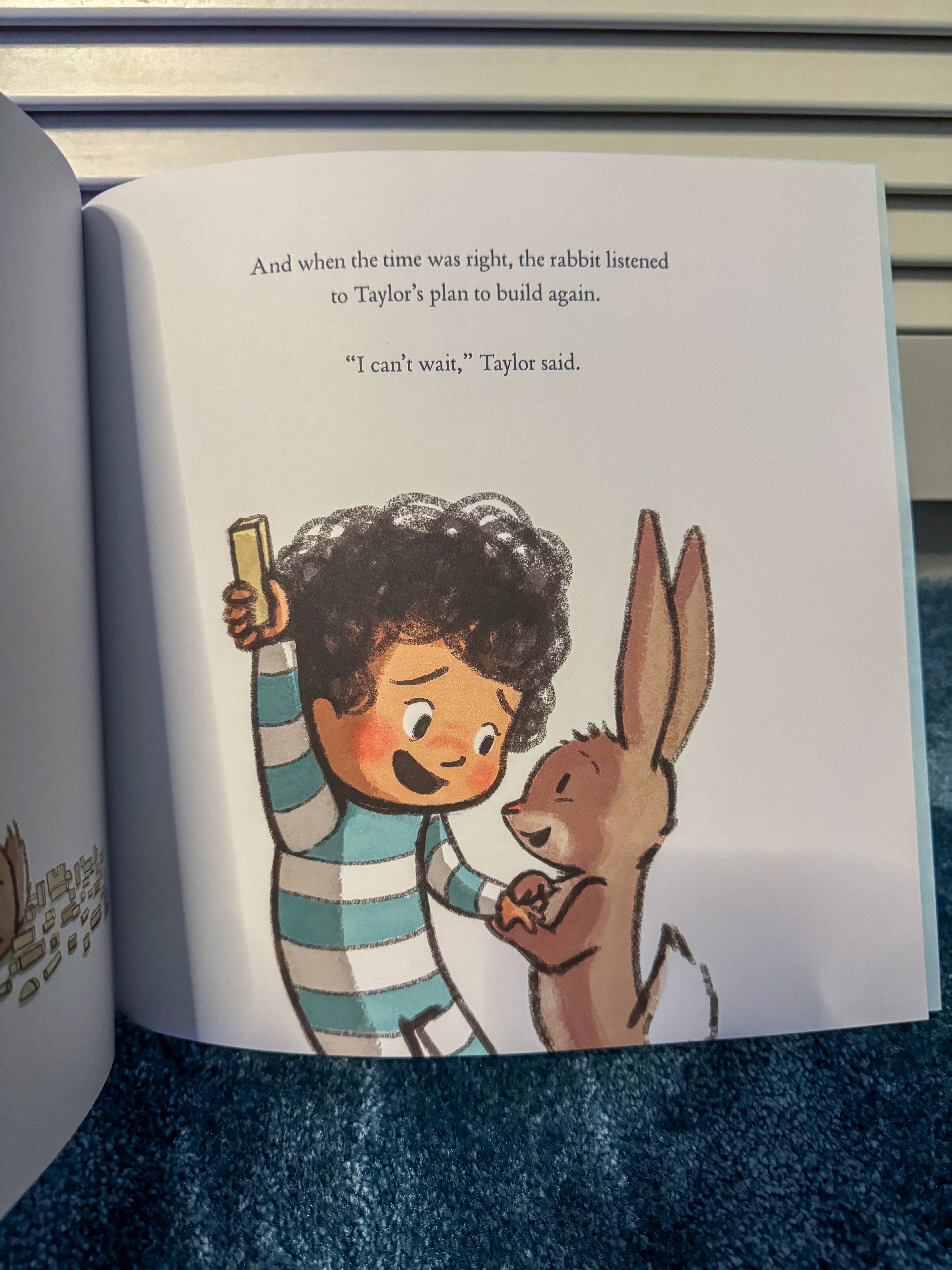 Books | The Rabbit Listened