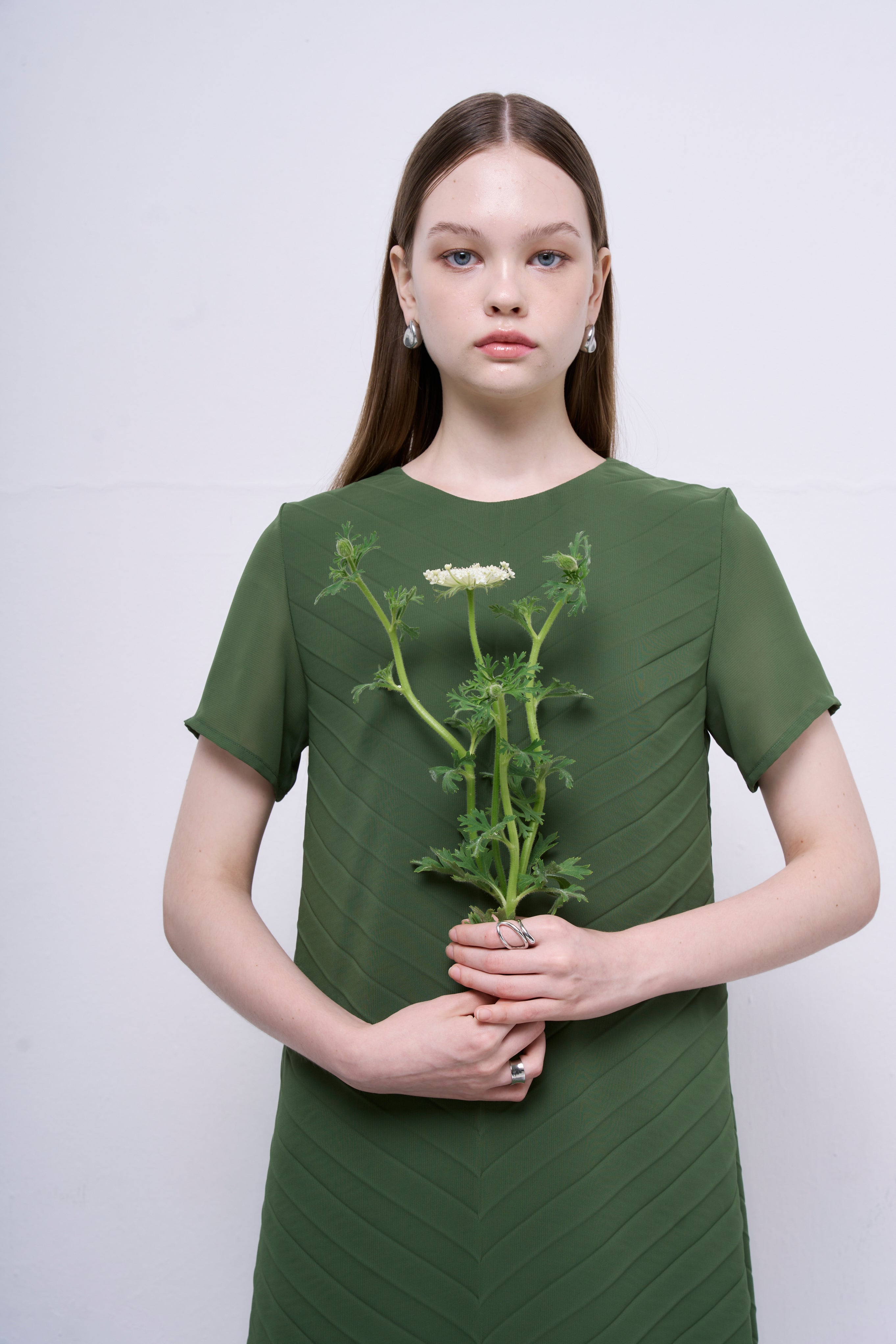 The Parrot | Liora Green Chiffon Pleated Sleeved Dress