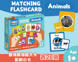 Books | Curios - English Flashcards - Animals