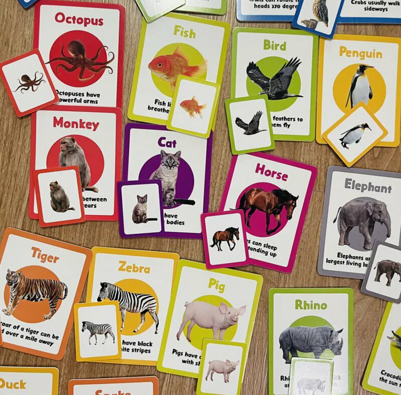 Books | Curios - English Flashcards - Animals