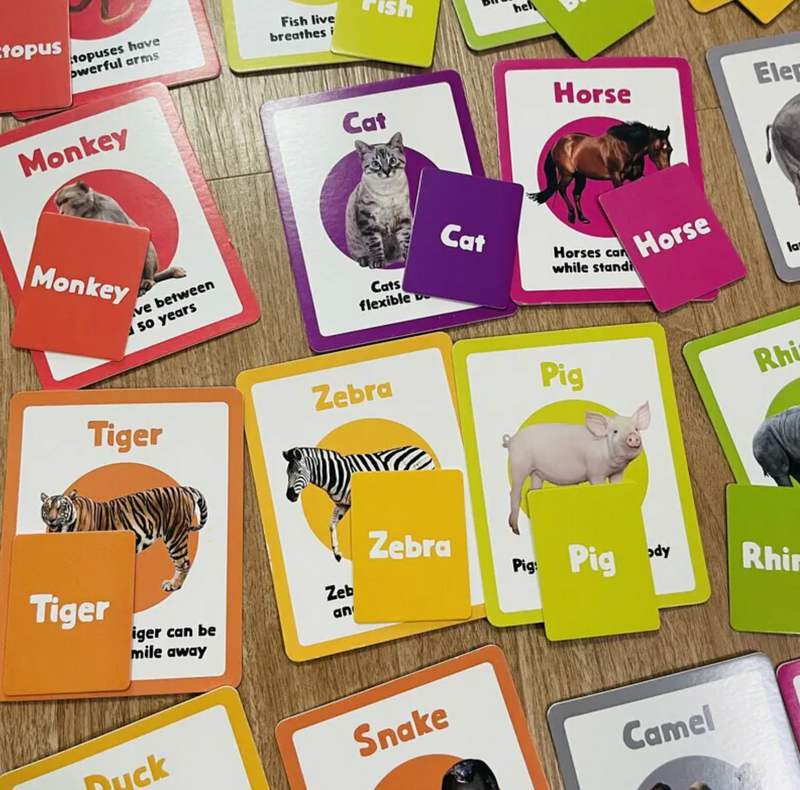 Books | Curios - English Flashcards - Animals