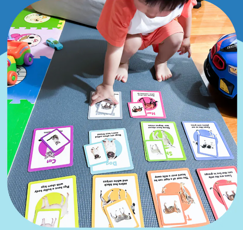 Books | Curios - English Flashcards - Animals