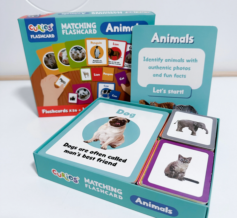 Books | Curios - English Flashcards - Animals