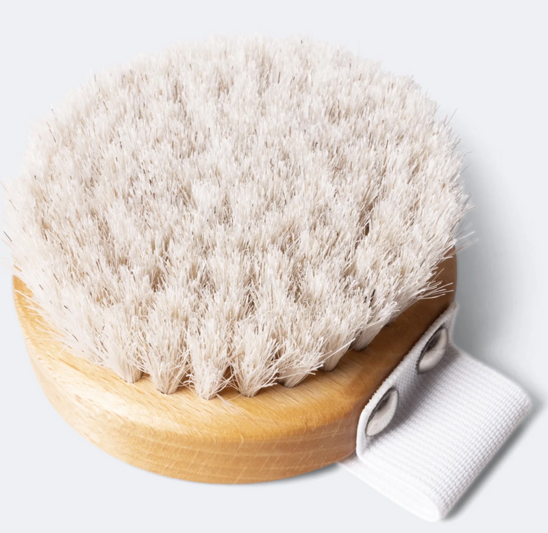 SoKind | Renew You Dry Brush