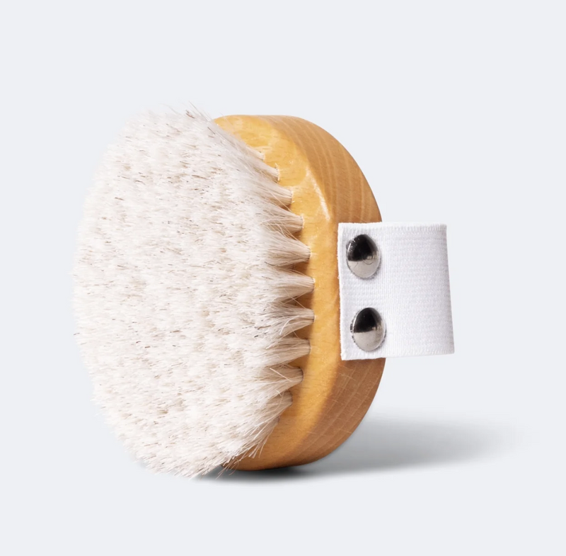 SoKind | Renew You Dry Brush