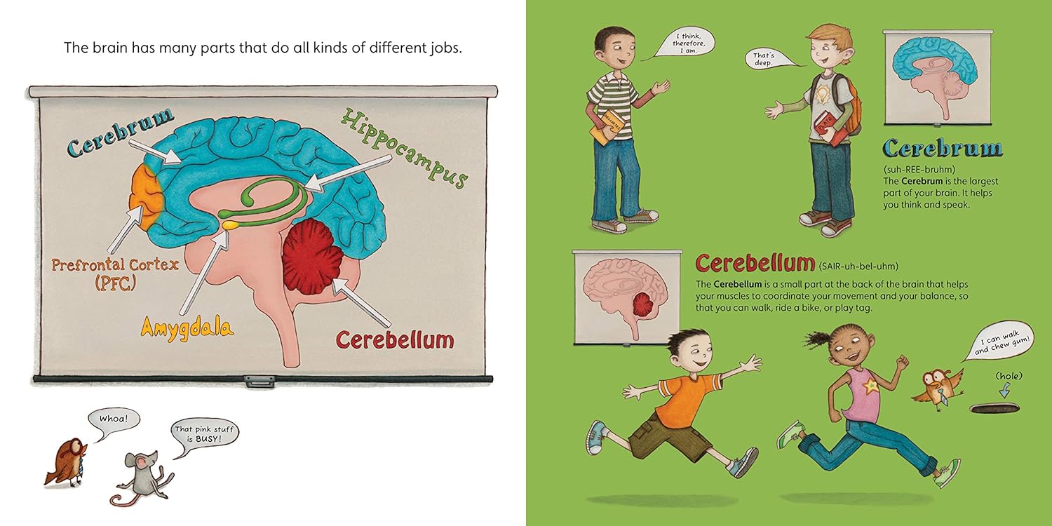 Books | Your Fantastic Elastic Brain