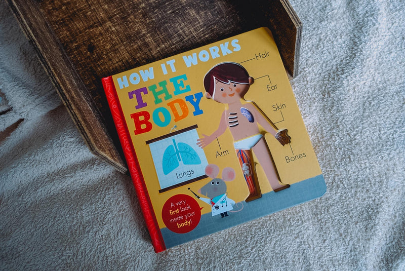 Books | How it Works: The Body by Amelia Hepworth