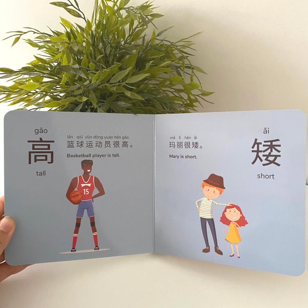 Books | Mandarin Prodigies: Let's Learn Opposite Words