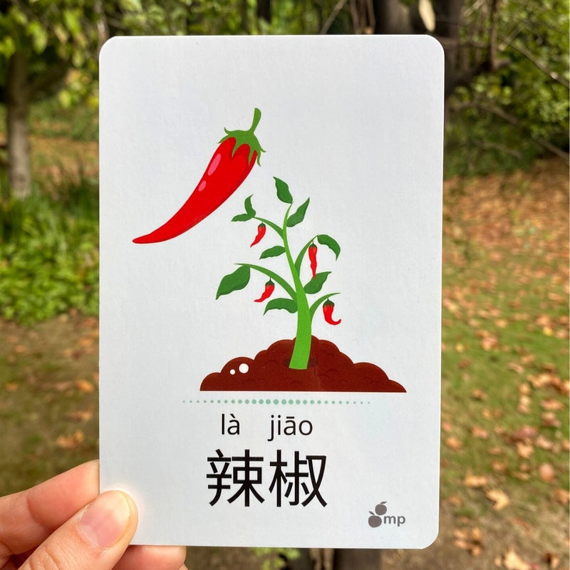 Books | Mandarin Prodigies: Chinese Flashcards (Fruits Veggies)