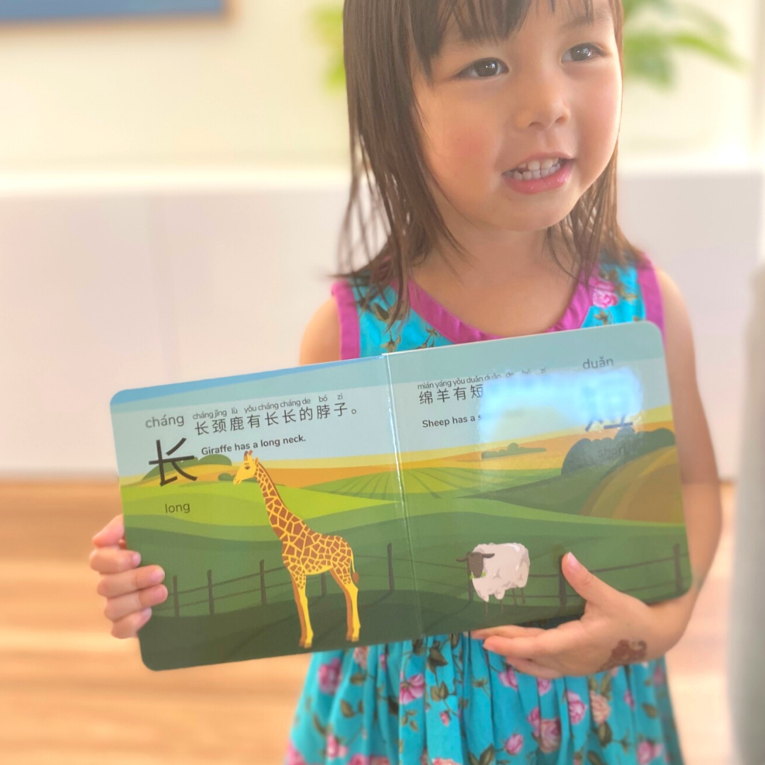 Books | Mandarin Prodigies: Let's Learn Opposite Words