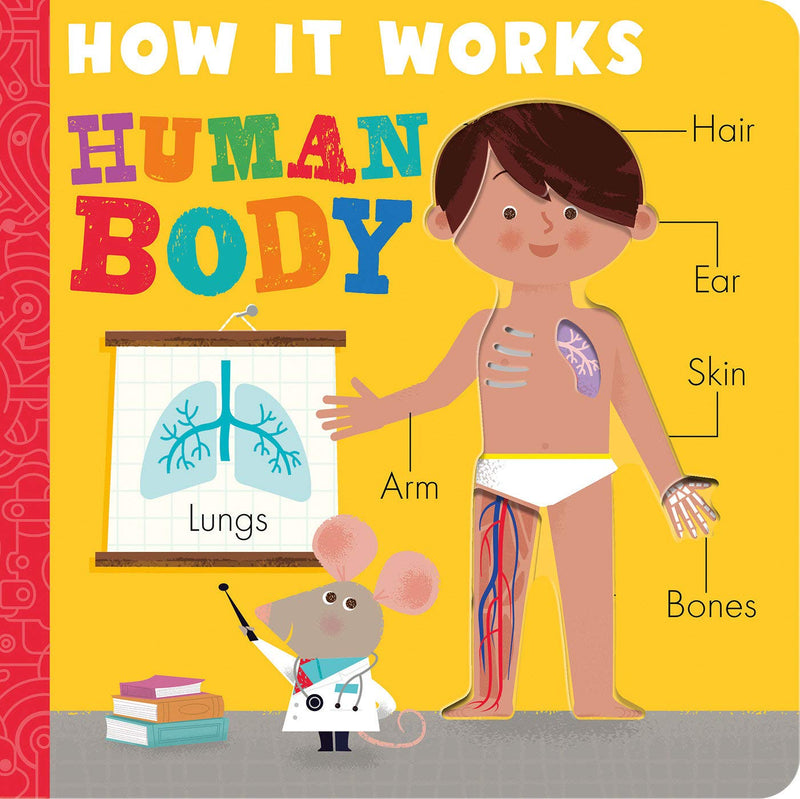 Books | How it Works: The Body by Amelia Hepworth