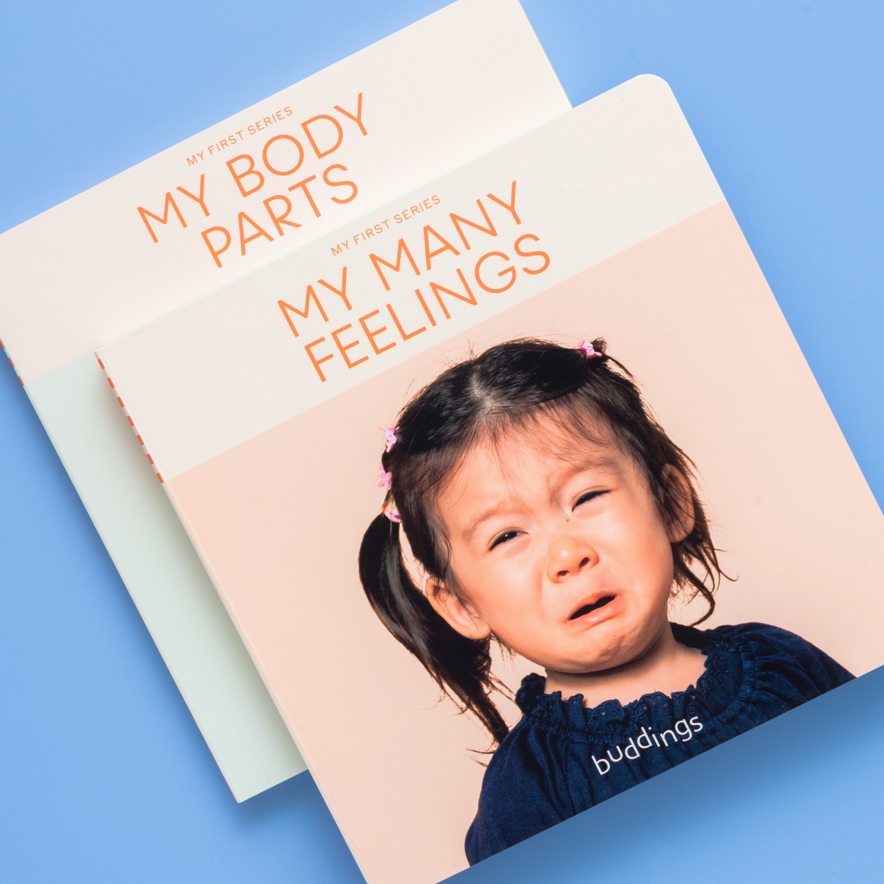 Books | My Many Feelings (Buddings)