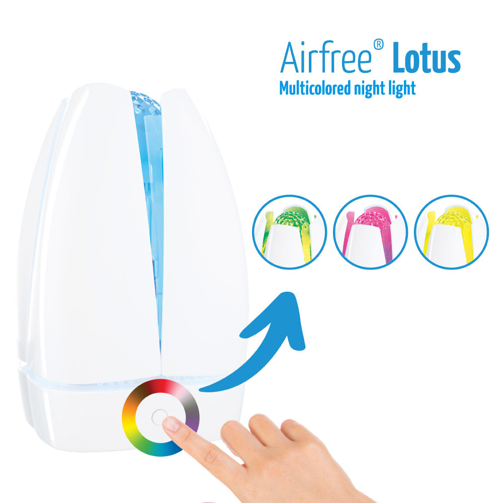 Airfree | Lotus (60m2)