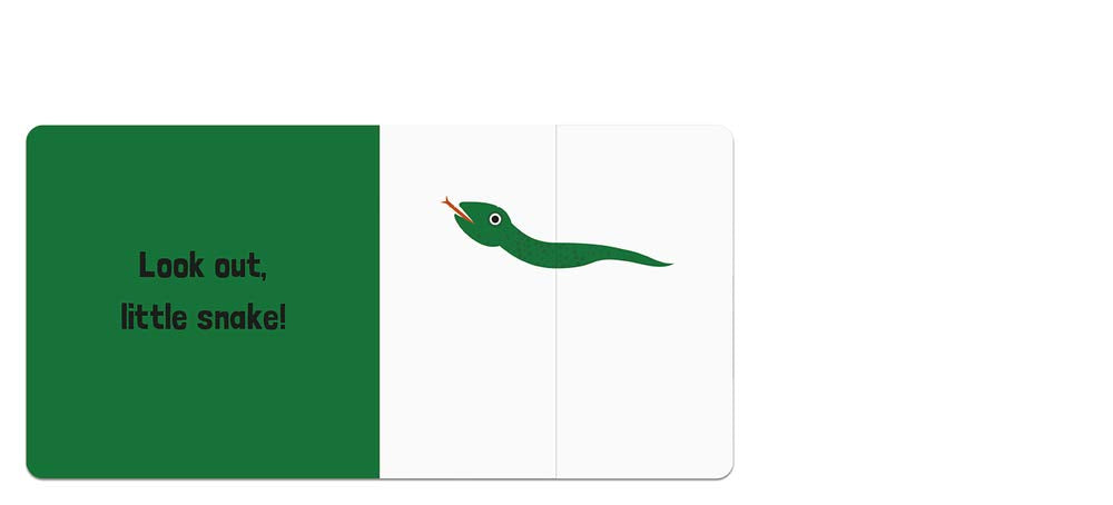 Books | Dinosaur Surprise - Baruzzi Agnese
